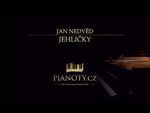 Jan Nedvěd - Jehličky (klavírní doprovod / karaoke)