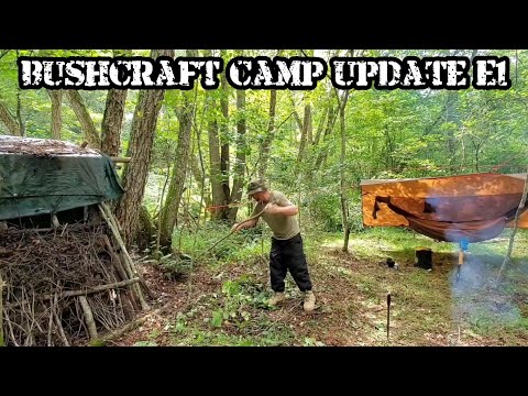 Bushcraft Camp Update - E1 Expanding Camp