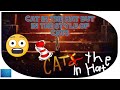 The Cat In The Hat But In The Style Of CATS 2019