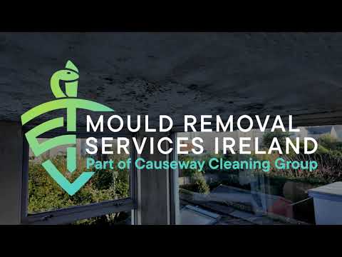 Mould removal video 1
