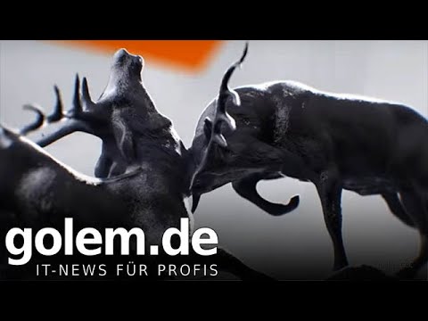 Wochenrückblick KW 01 2020 - Erschöpft ins neue Jahr