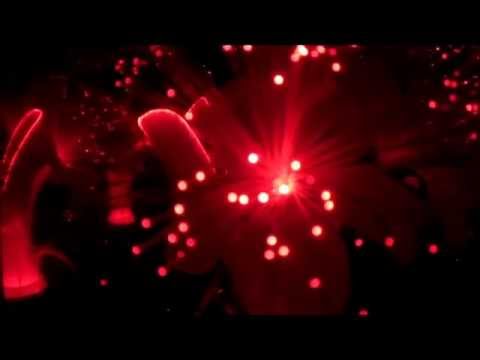 Logbuch eines Psychonauten