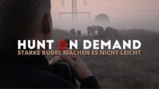 STARKE Rudel machen es nicht leicht! 🦌 Jagd auf Rot &amp; Muffelwild von @copterpro10