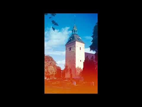 flourishing - title fight/turnover/shoegaze instrumental [free]