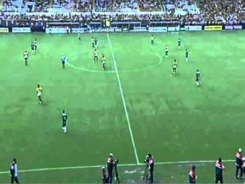 Criciúma 2 X 1 Chapecoense CATARINENSE 2014 Melhores Momentos