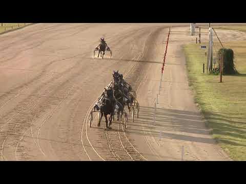 2020.09.26. 08. futam - GOLDEN LADY DÍJ