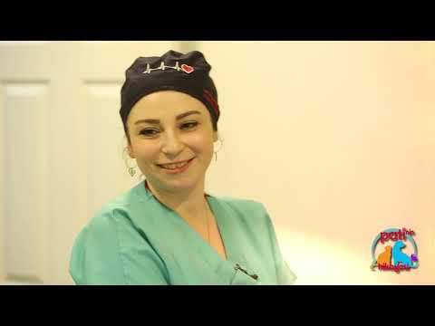 Patinin Hikayesi 53. Bölüm 2. Kısım