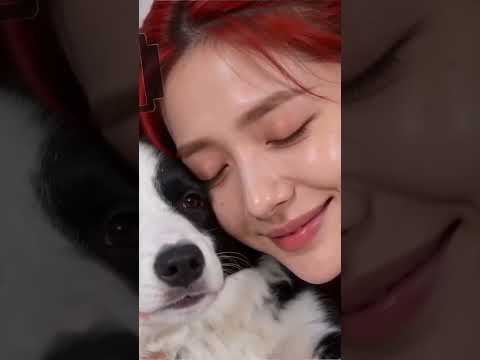 puppy deserve this 🥺 Subscribe to support🐶❤️#rumi #kpop #kpopdemonhunters #dog #puppy #kindness