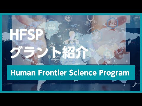 Phaegnathus Hubrichtiについて詳しく解説