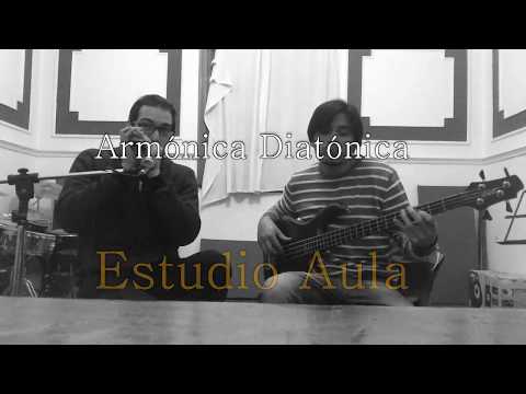 Aprendé armónica diatónica en Estudio Aula