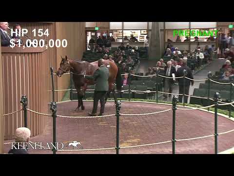 Hip 154, Salty As Can Be sells for $2 million at 2022 Keeneland November