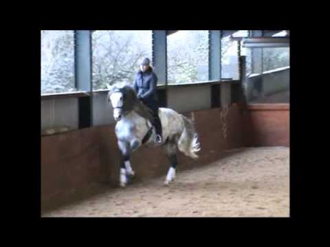 ZAGALOTE DA CERCA and Janine Pendlebury Lee