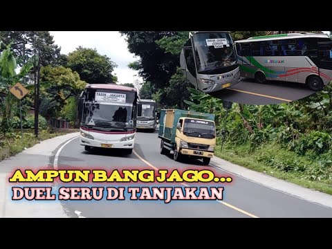 NGERI bus budiman•primajasa•dan truk overtake di tikungan