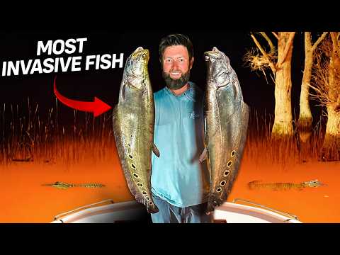I Went Bowfishing For America's Most Invasive Fish