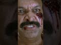 SathyaMoorthi IPS Pokkiri Thapathyvijay Tamilmovie Sunnxt Shorts