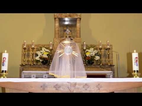 Zbor sv. Filomény - Moja múdrosť a moja nádej - live verzia