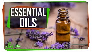Do Essential Oils Really Work? And Why?