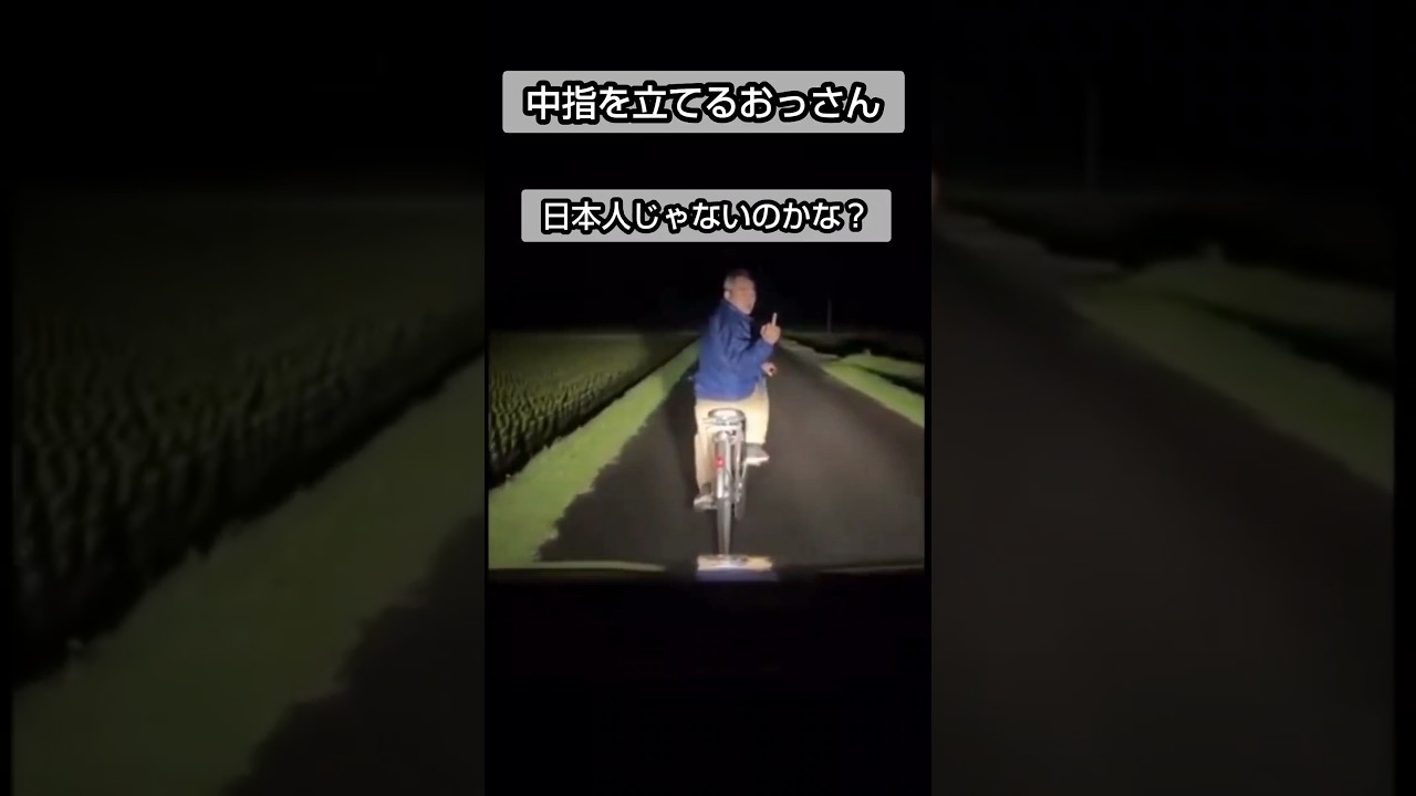 #自民党 #移民 #中国人#韓国人