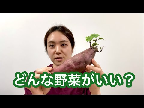 ハリネズミは何を食べますか