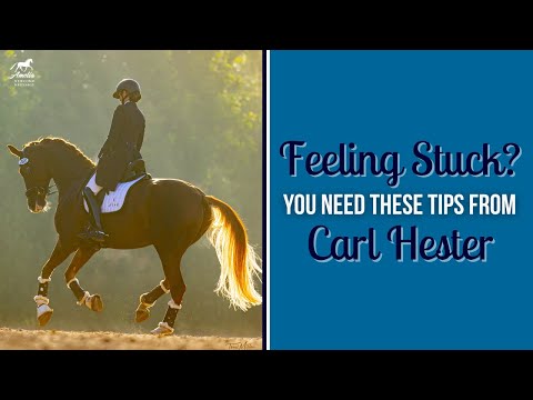 10 Tips From Carl Hester Every Rider Should Be Using