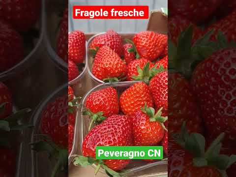 acquisto fragole fresche alla fiera di Peveragno CN #food #eating #foodie #eat #cibo #italy #fruit