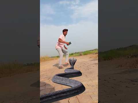 June 10, 2024 snake Funny shorts #vfx #magic #comedy #funny #shorts #youtubeshorts