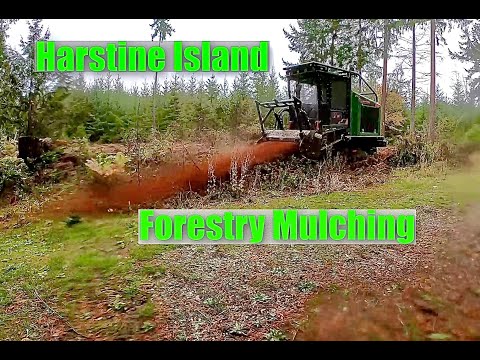 Video: Forestry Mulching Harstine Island, WA