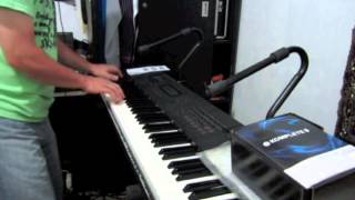 Avalon Roxy Music keyboard cover