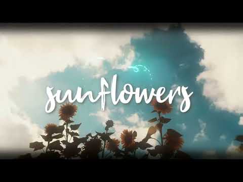 Sunflowers - Kurtis Hoppie x Vito OT x Spencer Boliou (Official Lyric Video)