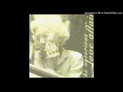 The Notorious Love Affair - Das Wundenlecken