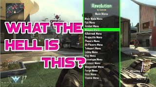 Black ops 2 What is a Mod Menu!?!? :P