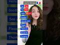 Useful Phrases In French Most Common Basic Vocabulary