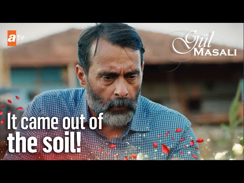 What did Tahir find? - Gul Masali English | Short Scenes