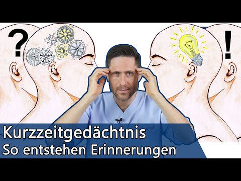 Unser Kurzzeitgedächtnis: Was in unserem Gehirn passiert und wie wir es trainieren können ❗