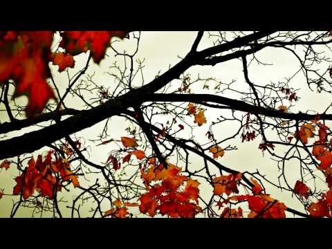 Kevin Sunray ft Gaia Barbero - Stories Untold (Terry Da Libra Remix)