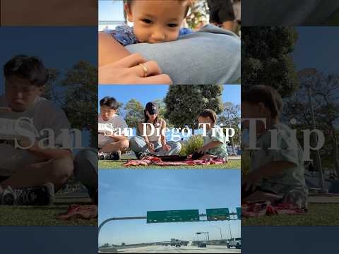 家族旅行🇺🇸 ラスベガスからサンディエゴへ！ #高橋ユウ#yutakahashi #shorts #vlog #サンディエゴ  #海外旅行 #家族旅行 #travel #子連れ旅行 #サマースクール
