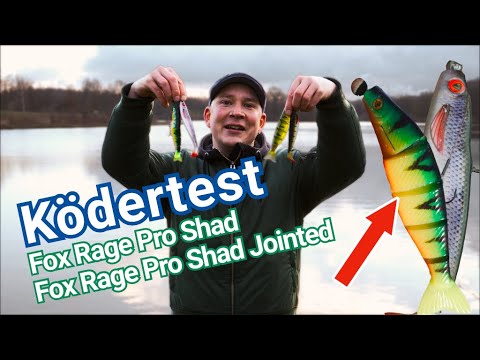 #Produkttest 003 Fox Rage Pro Shad und Pro Shad Jointed