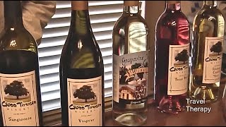 Visit Grapevine, Texas, for a Surprising Wine Tasting Experience