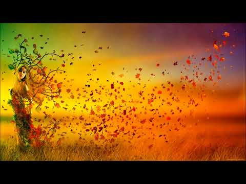 Ultimative Anleitung Eckhart Tolle (höheres Bewusstsein)