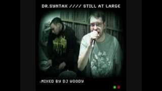 Dr Syntax - Still At Large - 08 - Imagineers Cypher