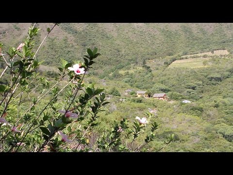 Ecotao - Knowing how to live