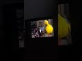Sesame Street Episode 1996 Ending