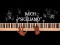 Final Notes Of 2025 Bach Siciliano Arr Kempff