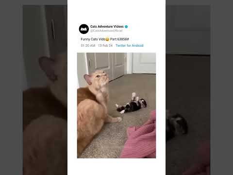 26 de febrero de 2024