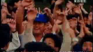 [討論] 為何臺灣大多民眾不知道紅葉作假？