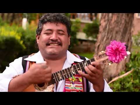 HEBER MEJIA - HAS PERDIDO MI AMOR