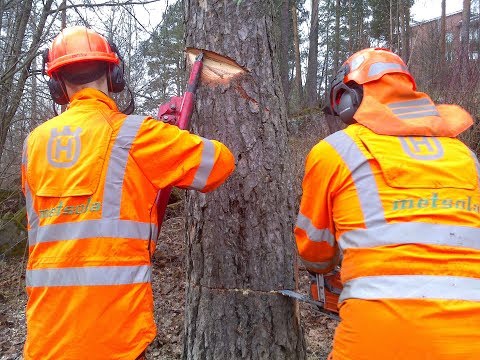 Metsolan Metsäkoulu 39, Pihapuunkaadon turvallisuus 2.