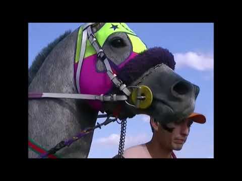 LOS AROMITOS-VILLA DEL PRADO