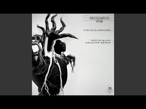 VANTA BLAK (KALCYFR Remix)