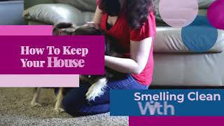 How To Keep Your House Smelling Clean With Pets?